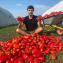Канал Тепличный бизнес в деревне в MAX