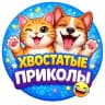 MAX-канал Хвостатые приколы