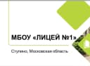 Канал Лицей №1, Ступино в MAX