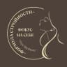 MAX-канал Формула стройности