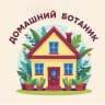 MAX-канал Домашний ботаник