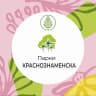 MAX-канал Парки Краснознаменска