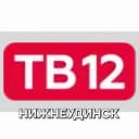 Канал ТВ12 Нижнеудинск в MAX