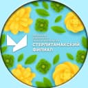 Канал СФ УУНиТ | Стерлитамакский филиал Уфимского университета науки и технологий в MAX