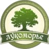 MAX-канал МАДОУ «Лукоморье»