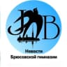MAX-канал Брюсовская гимназия