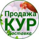 Канал Продажа и доставка Кур-несушек | Куры76.рф в MAX