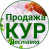 MAX-канал Продажа и доставка Кур-несушек | Куры76.рф