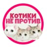 MAX-канал Котики не против