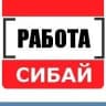 MAX-канал Работа Сибай