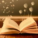 Канал Любимая книга в MAX