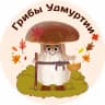 MAX-канал Грибы Удмуртии | Даниил Моисеев