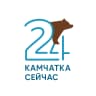 MAX-канал Камчатка сейчас
