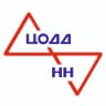 MAX-канал ЦОДД НН