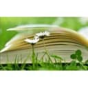 Канал Здоровье без Книг и Зубрежки эко зож экомедицина в MAX