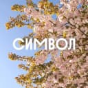 Канал Символ | Донстрой в MAX
