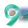 MAX-канал Гимназия №9, г.о. Электросталь