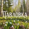 MAX-канал Администрация сельского поселения Павловский сельсовет