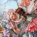Канал Fairyopolis.Красивые книги. Книжный магазин в MAX