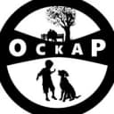 Канал "Оскар" Новочеркасск - Дрессировка собак, сухой корм, передержка собак 🐶 в MAX