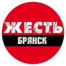 MAX-канал Жесть Брянск