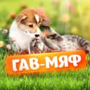 Канал Коты и котики, собаки и пёсики: смешные забавные видео в MAX