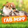 MAX-канал Коты и котики, собаки и пёсики: смешные забавные видео