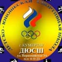 Канал Новости МБОУДО ДЮСШ в MAX
