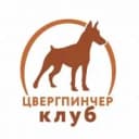 Канал ЦВЕРГПИНЧЕР КЛУБ в MAX