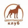 MAX-канал ЦВЕРГПИНЧЕР КЛУБ