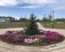 Канал Администрация Алексеево-Лозовского сельского поселения в MAX