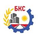 Канал БКС Балашиха в MAX