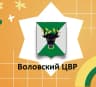 MAX-канал МКОУ ДО "Воловский ЦВР"