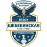 MAX-канал ОГБОУ «Шебекинская СОШ с УИОП»
