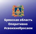 Канал Брянская область. Оперативно в MAX