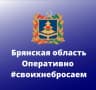 MAX-канал Брянская область. Оперативно
