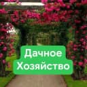 Канал Дачное хозяйство в MAX