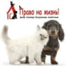 MAX-канал Помощь животным Ноябрьска