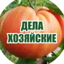 Канал Дела Хозяйские в MAX