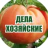 MAX-канал Дела Хозяйские