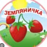 MAX-канал МДОУ детский сад "Земляничка"р.п.Посевная