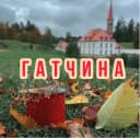 Канал Гатчина в MAX