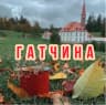 MAX-канал Гатчина