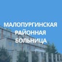 Канал БУЗ УР "Малопургинская РБ МЗ УР" в MAX