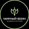MAX-канал Мирный Воин