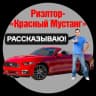 MAX-канал Решэлторъ Красный Мустанг | Блог Алексея Калашникова