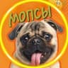 MAX-канал Мопсы 🐶