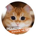 Канал Без кота жизнь не та в MAX