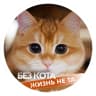 MAX-канал Без кота жизнь не та
