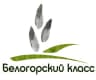 MAX-канал ЧОУ СОШ "Белогорский класс"